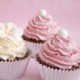 Cupcake Decorating Kit (4 pieces)