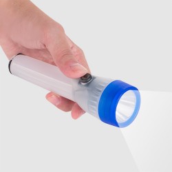 LED Torch with Coloured Head