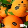 Deluxe Valencian Navelina Oranges 10 kg