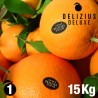 Deluxe Valencian Navelina Oranges 15 kg