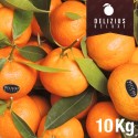 Deluxe Valencian Clemenules Mandarins 10 kg