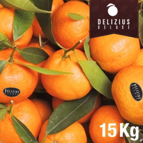 Deluxe Valencian Clemenules Mandarins 15 kg