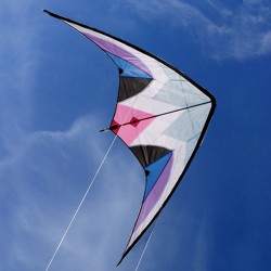 Delta Wing Stunt Kite