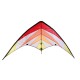 Delta Wing Stunt Kite