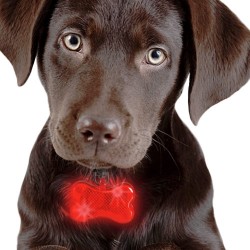 Dog LED Collar Tag