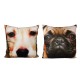 Cats and Dogs Cushion
