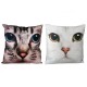 Cats and Dogs Cushion