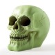 Fluorescent Skull Money Box