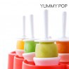 Yummy Pop Mini Ice Cream Mould